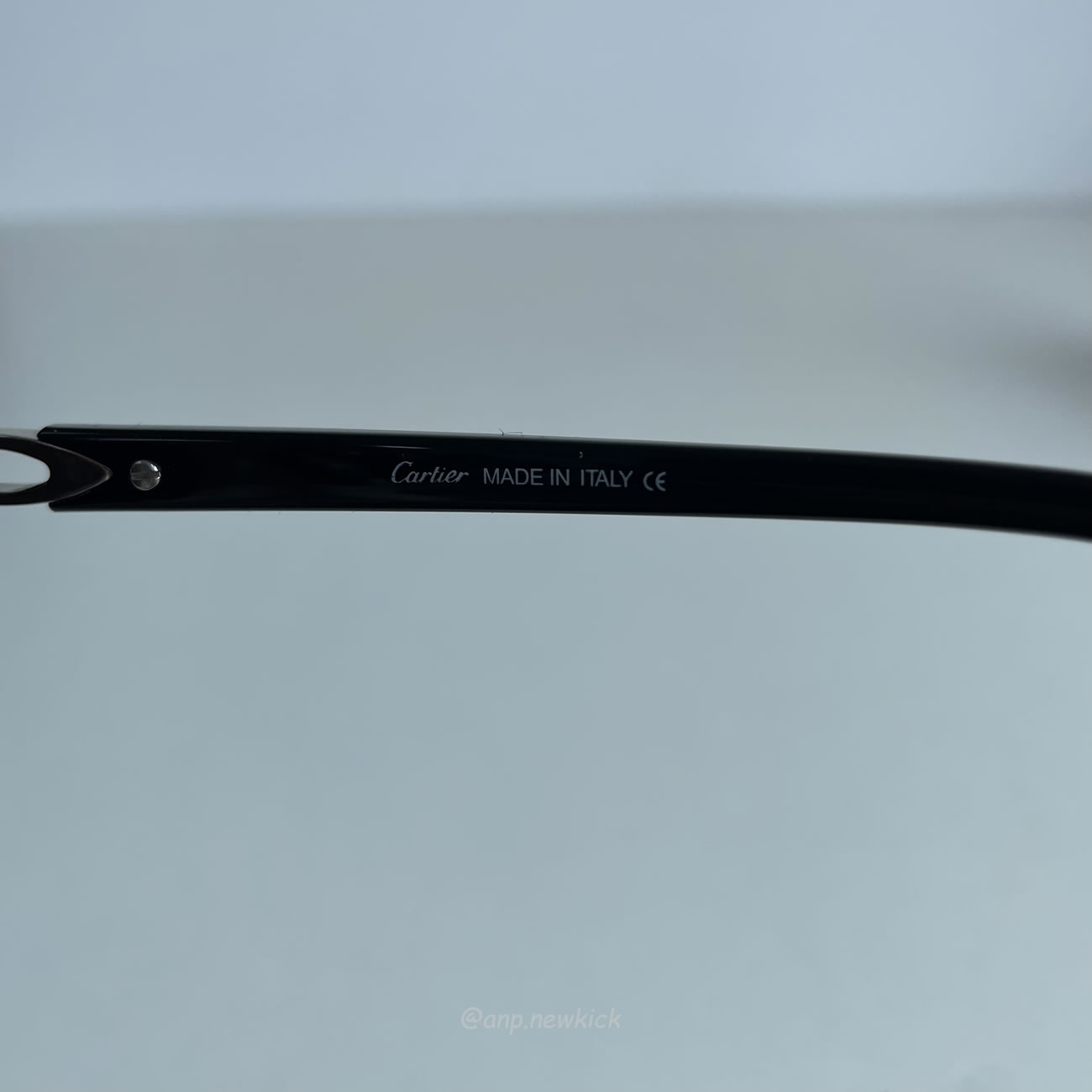 Cartier Buffalo Horn Ct0439s 005j (5) - www.newkick.vip